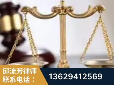 武汉-委托诉讼代理人出庭